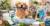Chewy BOGO Offer Get 50% Off Pet Dental Care Essentials