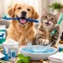 Chewy Free Shipping On Chewy+ Membership With 5% Rewards