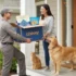 Chewy BOGO Offer Get 50% Off Pet Dental Care Essentials